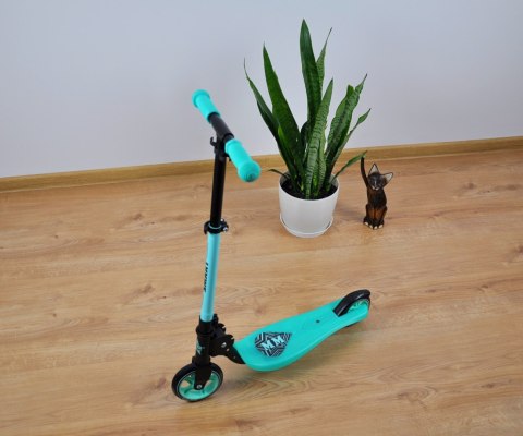 Scooter Smart Mint Scooter Smart Mint