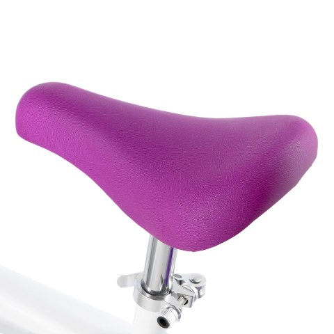 RB102 WHITE ROWEREK BIEGOWY NILS FUN NILS FUN RB102 WHITE ROWEREK BIEGOWY NILS FUN NILS FUN