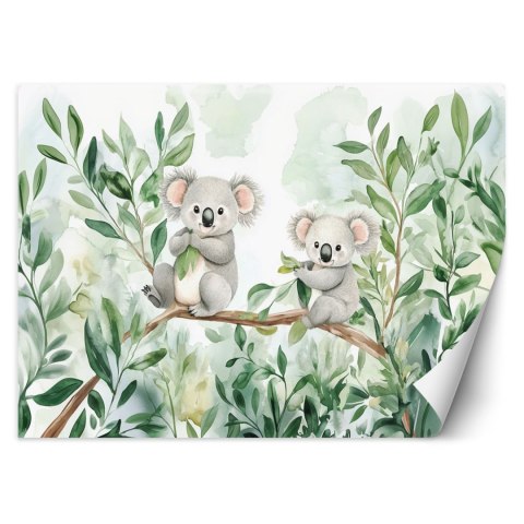 Fototapeta do pokoju dziecka, Misie Koala Liście eukaliptusa - 100x70 Fototapeta do pokoju dziecka, Misie Koala Liście eukaliptusa - 100x70