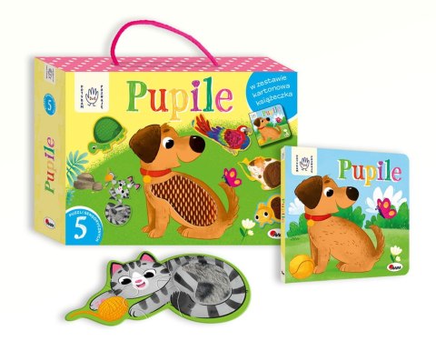 DOTYKAM POZNAJĘ PUPILE BOX AWM WYDAWNICTWO DOTYKAM POZNAJĘ PUPILE BOX AWM WYDAWNICTWO