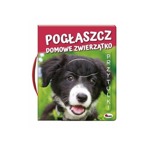 Pogłaszcz domowe zwierzątko AWM WYDAWNICTWO Pogłaszcz domowe zwierzątko AWM WYDAWNICTWO