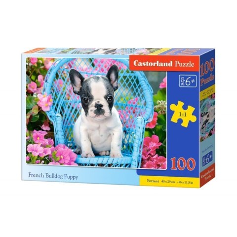 Puzzle 100 french bulldog pupy CASTOR CASTOR Puzzle 100 french bulldog pupy CASTOR CASTOR