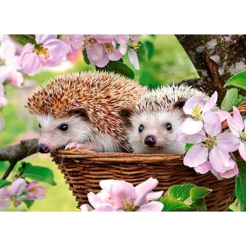 Puzzle 120el. springtime CASTOR CASTOR Puzzle 120el. springtime CASTOR CASTOR
