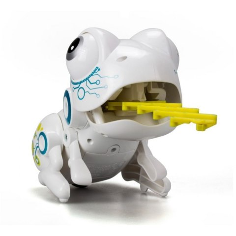 Robo frog DUMEL DUMEL Robo frog DUMEL DUMEL