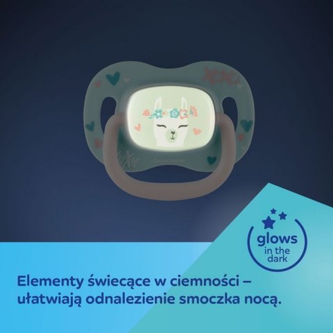 Smoczek sil. sym. 0-6m koala CANPOL BABIES CANPOL BABIES Smoczek sil. sym. 0-6m koala CANPOL BABIES CANPOL BABIES