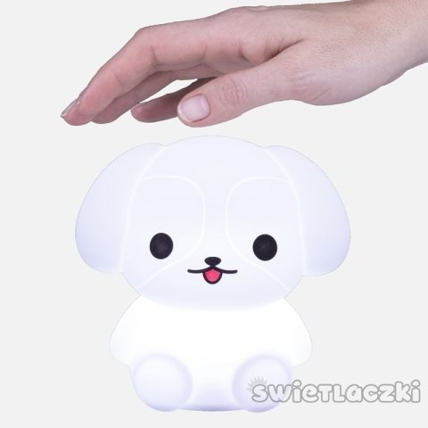 Świetlaczek piesełek mm027 MESCOMP MESCOMP Świetlaczek piesełek mm027 MESCOMP MESCOMP