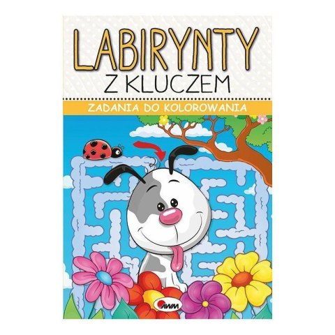 Zadania do kol. lab. z kluczem AWM WYDAWNICTWO AWM WYDAWNICTWO Zadania do kol. lab. z kluczem AWM WYDAWNICTWO AWM WYDAWNICTWO