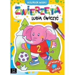 Zwierzęta lubią ćwiczyć AKSJOMAT AKSJOMAT