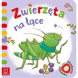Zwierzęta na łące AKSJOMAT AKSJOMAT