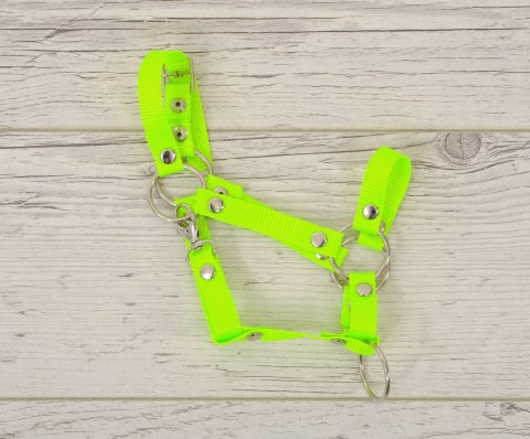 Kantar regulowany dla konia Hobby Horse A3 - neon green Kantar regulowany dla konia Hobby Horse A3 - neon green